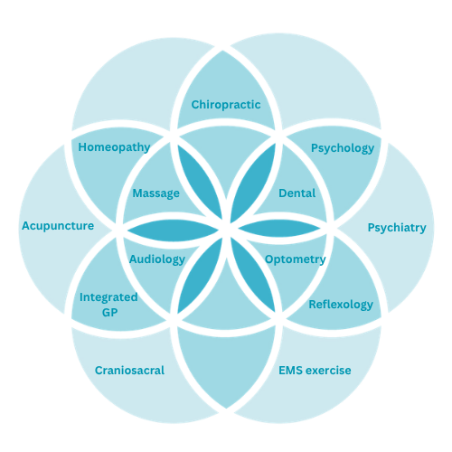HH with practitioners